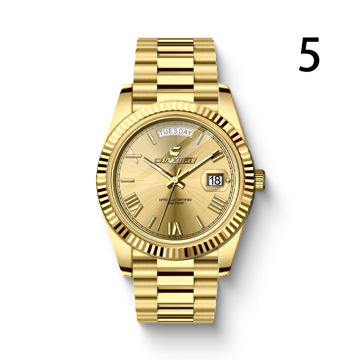 Large Dial with Steel Band